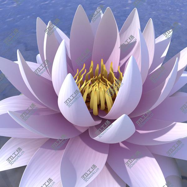 images/goods_img/20210312/3D model Lotus Animated/4.jpg